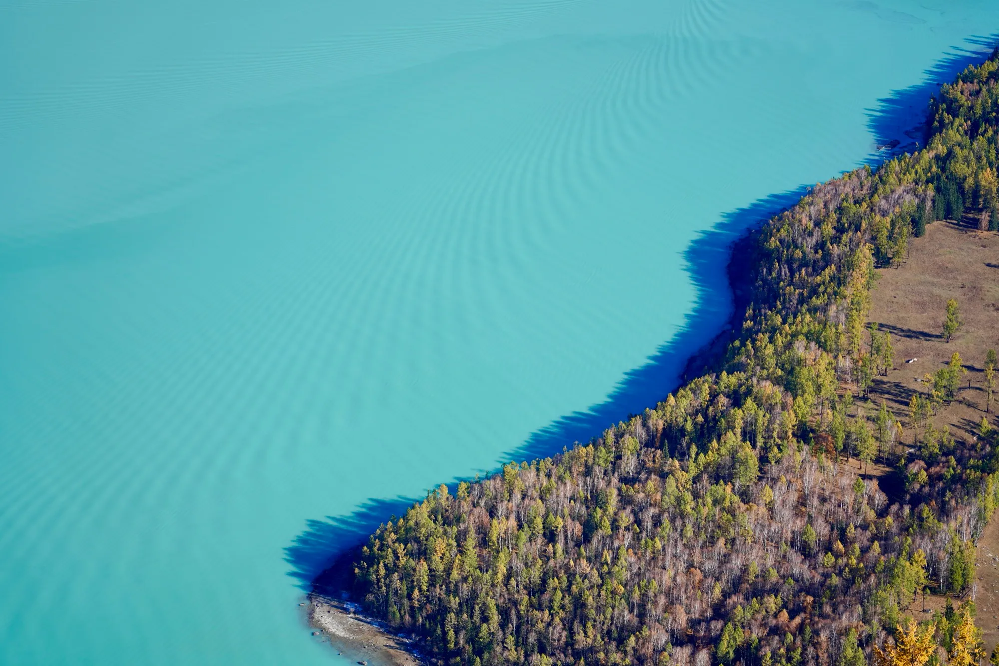 摄影作品